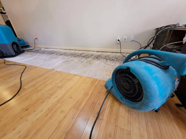 Professional Basement Flood Cleanup technician working in Yermo, CA